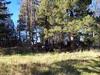 Lot 63 A & B  LAKEFRONT